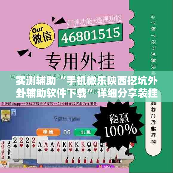 实测辅助“手机微乐陕西挖坑外卦辅助软件下载”详细分享装挂步骤