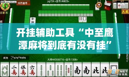 开挂辅助工具“中至鹰潭麻将到底有没有挂”(透视)其实确实有挂