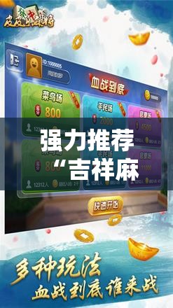 强力推荐“吉祥麻将外卦神器通用版”2026开挂教程步骤