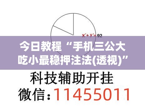 今日教程“手机三公大吃小最稳押注法(透视)	”开挂辅助脚本+详细开挂安装教程