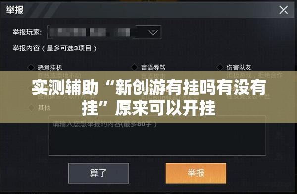 实测辅助“新创游有挂吗有没有挂”原来可以开挂
