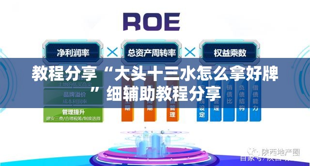 教程分享“大头十三水怎么拿好牌”细辅助教程分享