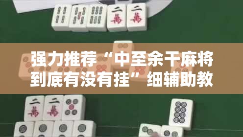 强力推荐“中至余干麻将到底有没有挂”细辅助教程分享