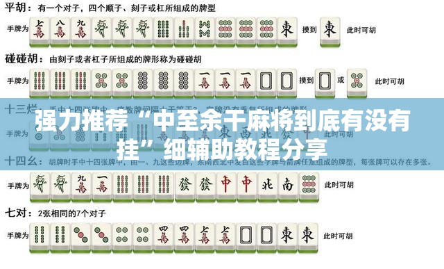 强力推荐“中至余干麻将到底有没有挂	”细辅助教程分享