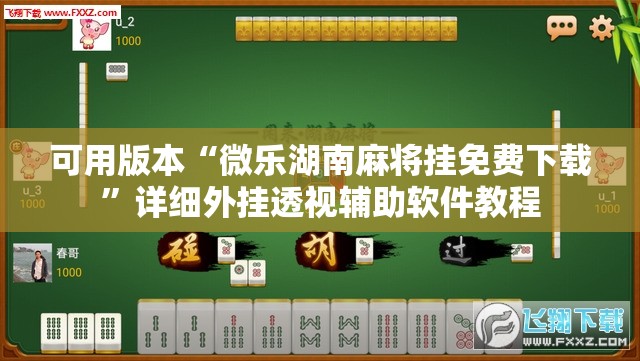 可用版本“微乐湖南麻将挂免费下载”详细外挂透视辅助软件教程
