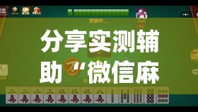分享实测辅助“微信麻将小程序万能开挂器	”(透视挂)辅助下载教程