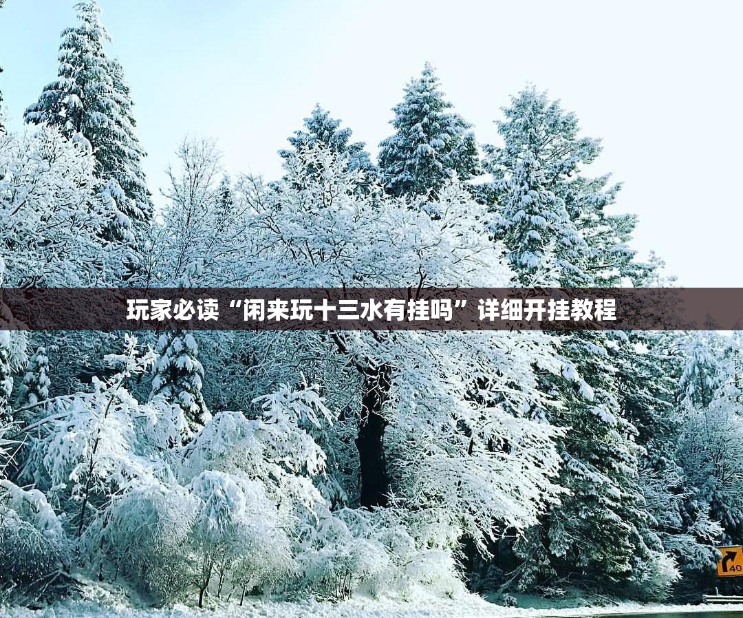 玩家必读“闲来玩十三水有挂吗	”详细开挂教程