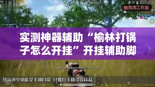 实测神器辅助“榆林打锅子怎么开挂”开挂辅助脚本+详细开挂安装教程