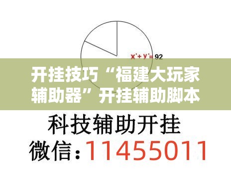 开挂技巧“福建大玩家辅助器	”开挂辅助脚本+详细开挂安装教程