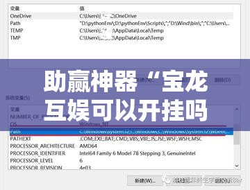 助赢神器“宝龙互娱可以开挂吗”细辅助教程分享