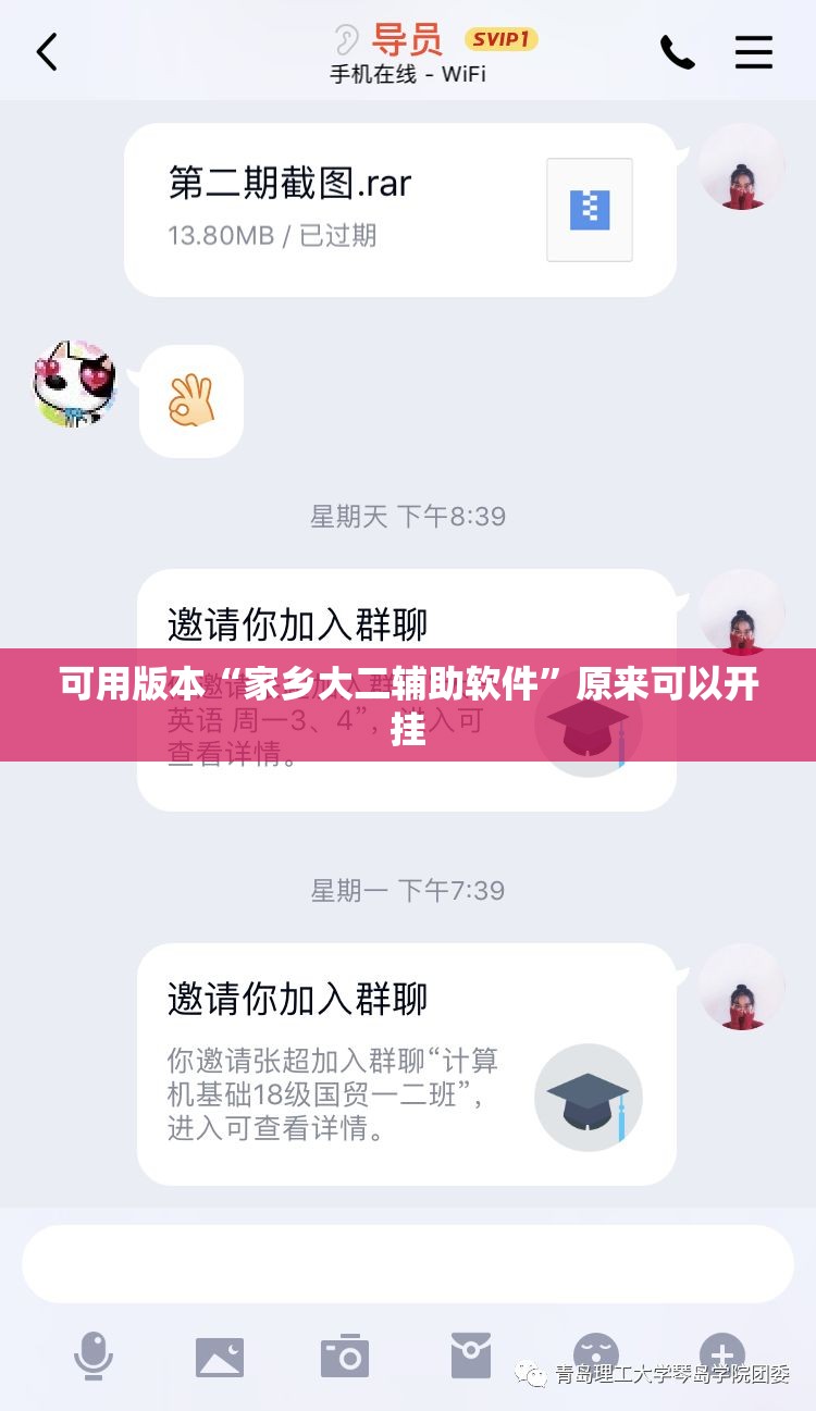 可用版本“家乡大二辅助软件”原来可以开挂