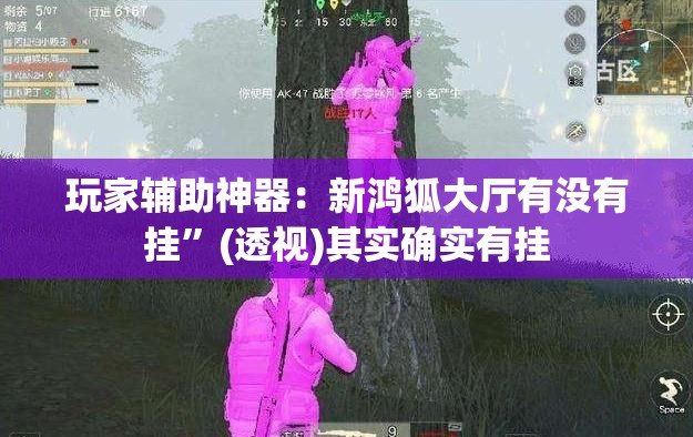 玩家辅助神器：新鸿狐大厅有没有挂”(透视)其实确实有挂