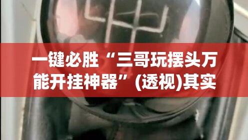 一键必胜“三哥玩摆头万能开挂神器”(透视)其实确实有挂