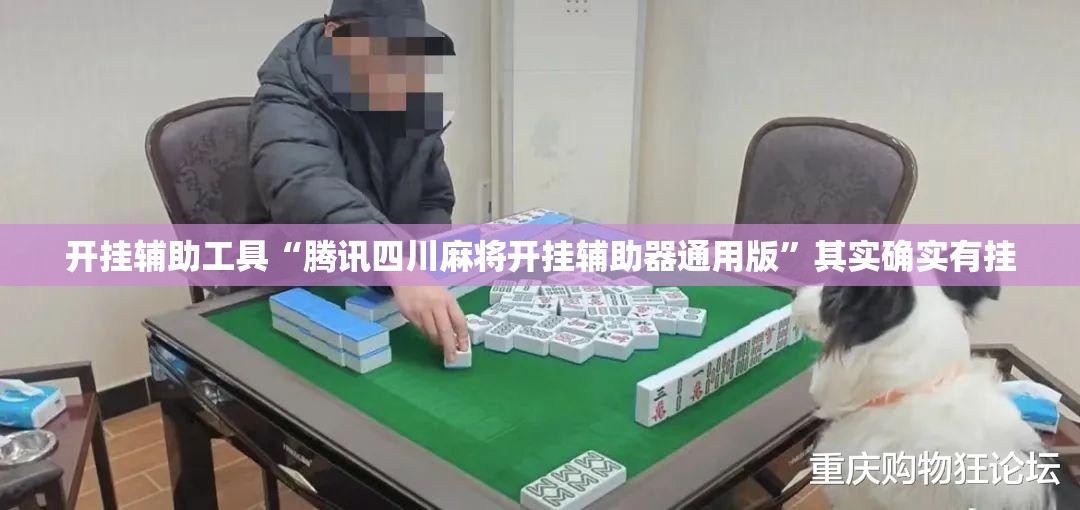 开挂辅助工具“腾讯四川麻将开挂辅助器通用版”其实确实有挂