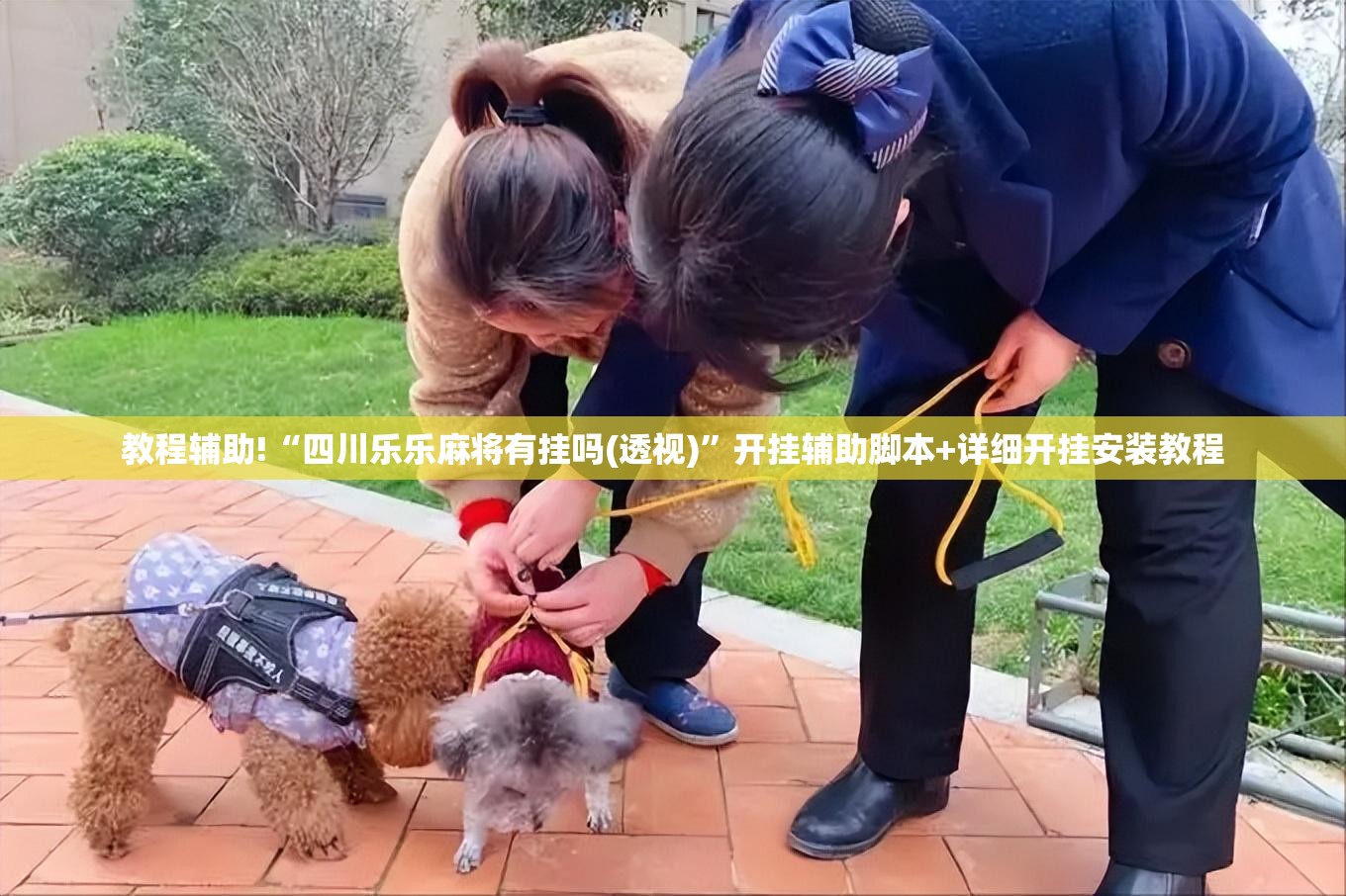 教程辅助!“四川乐乐麻将有挂吗(透视)”开挂辅助脚本+详细开挂安装教程