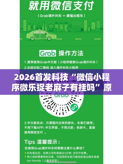 2026首发科技“微信小程序微乐捉老麻子有挂吗”原来可以开挂