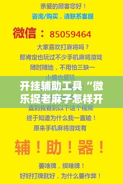 开挂辅助工具“微乐捉老麻子怎样开挂”开挂详细教程