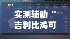 实测辅助“吉利比鸡可以开挂吗”开挂(透视)辅助神器