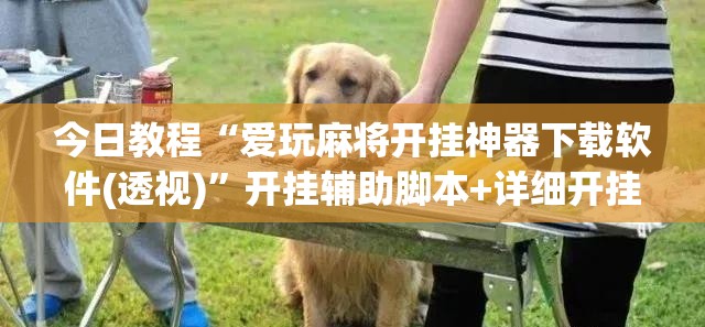 今日教程“爱玩麻将开挂神器下载软件(透视)”开挂辅助脚本+详细开挂安装教程