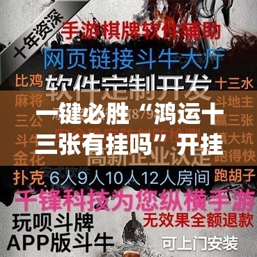 一键必胜“鸿运十三张有挂吗”开挂(透视)辅助教程