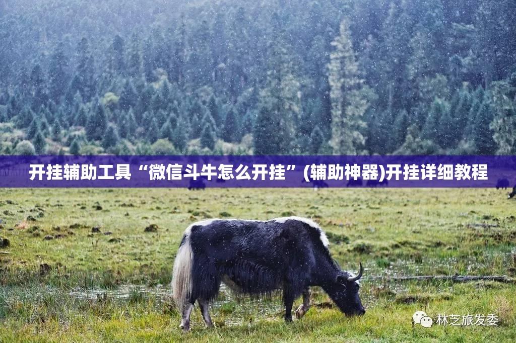 开挂辅助工具“微信斗牛怎么开挂”(辅助神器)开挂详细教程