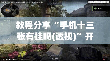 教程分享“手机十三张有挂吗(透视)”开挂辅助脚本+详细开挂安装教程
