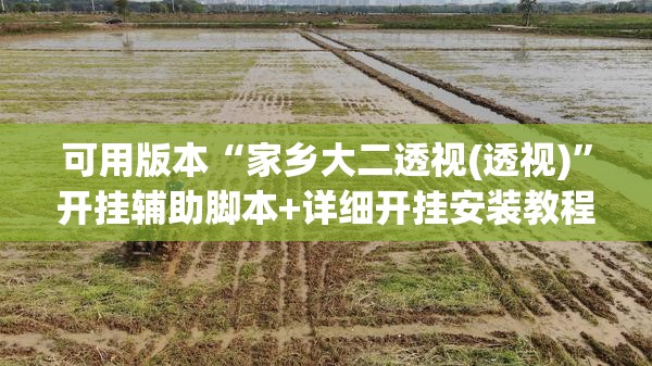 可用版本“家乡大二透视(透视)”开挂辅助脚本+详细开挂安装教程
