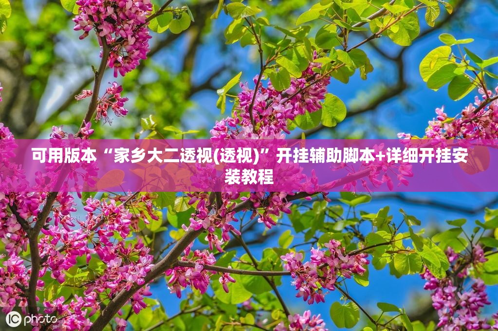 可用版本“家乡大二透视(透视)	”开挂辅助脚本+详细开挂安装教程