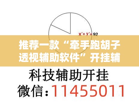 推荐一款“牵手跑胡子透视辅助软件	”开挂辅助脚本+详细开挂安装教程