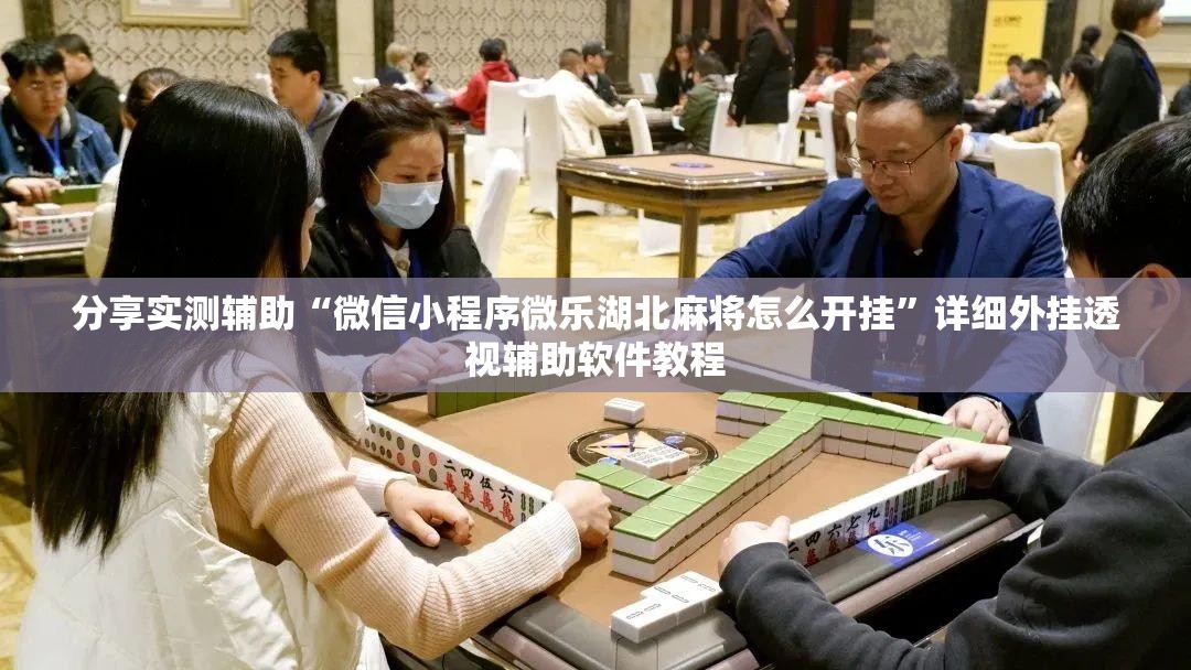 分享实测辅助“微信小程序微乐湖北麻将怎么开挂	”详细外挂透视辅助软件教程